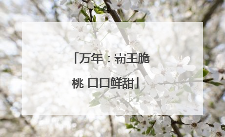 万年：霸王脆桃 口口鲜甜